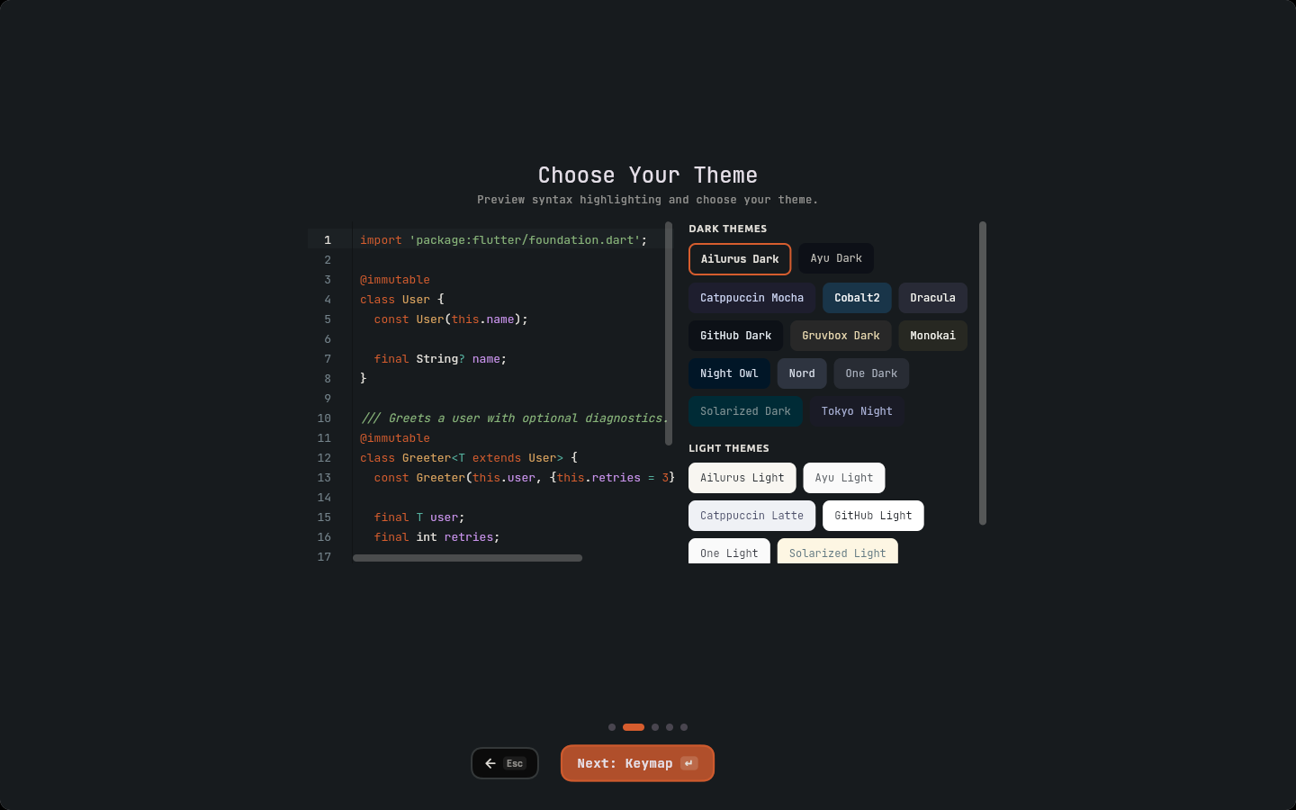 Onboarding wizard on the Choose Your Theme step, with a live code preview and the dark and light theme list